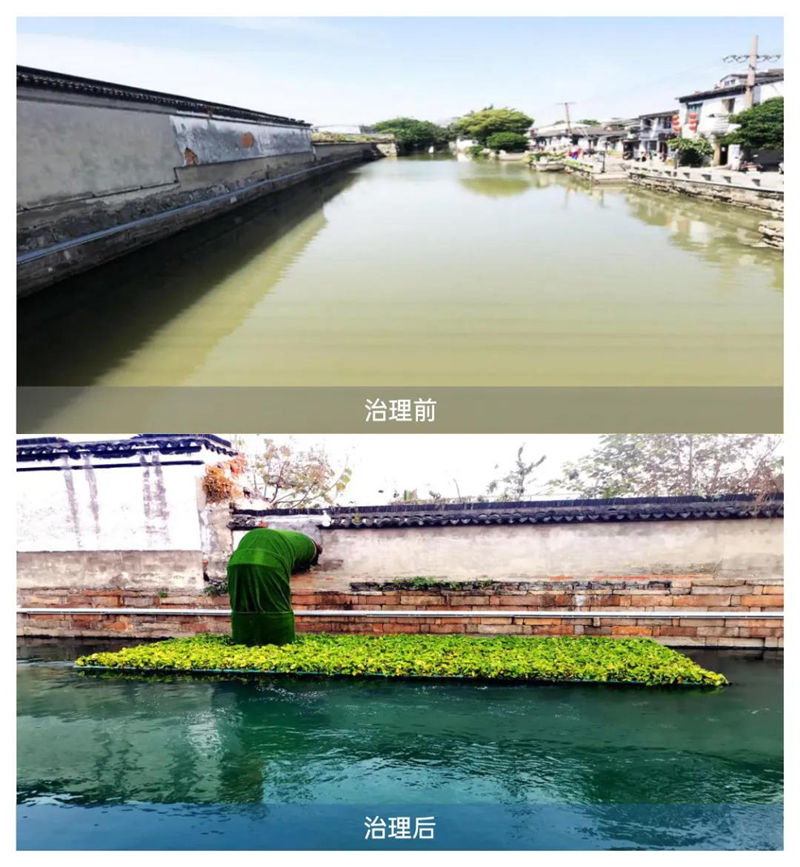 平江河获奖-21.jpg